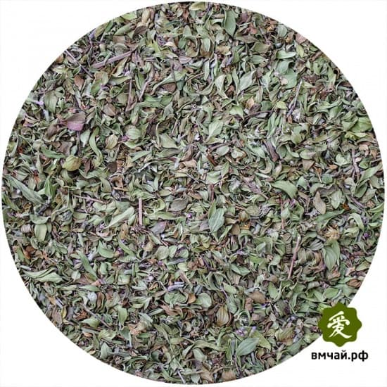 Чабрец армянский горный