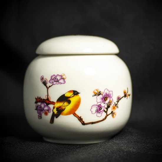 Чайница Птицы 220 мл. (Фарфор)