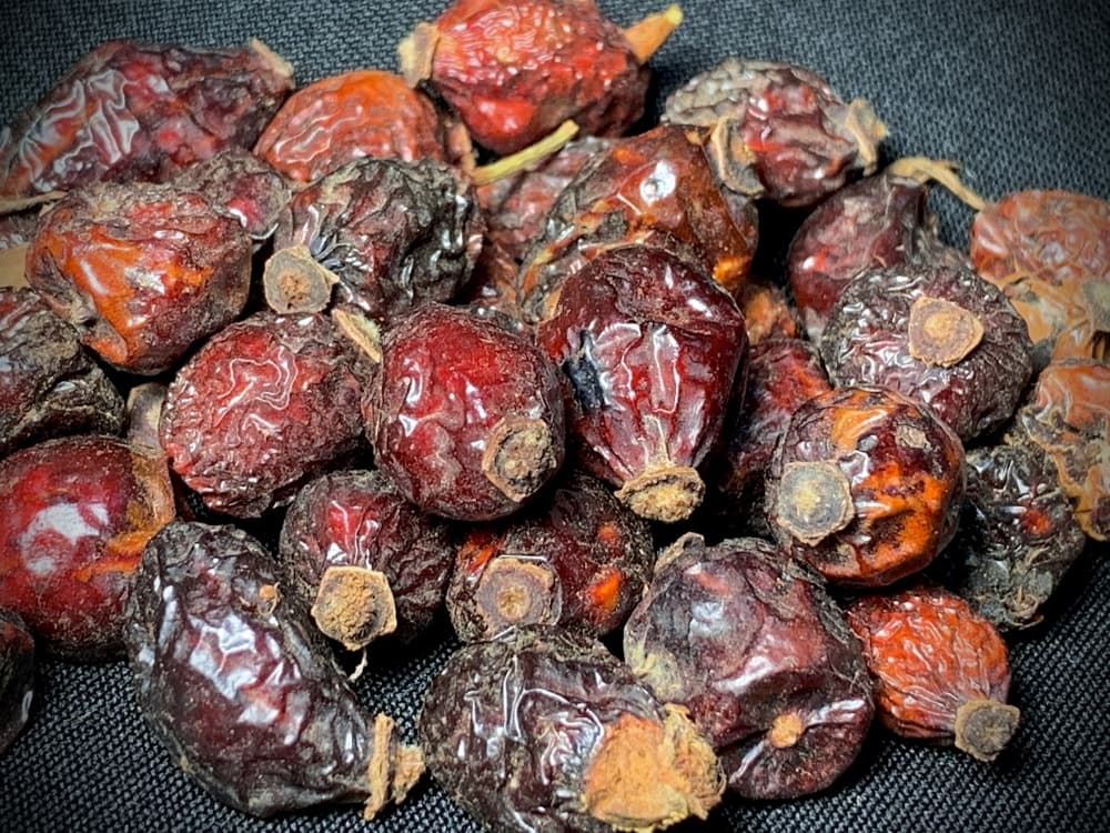 Шиповник плоды