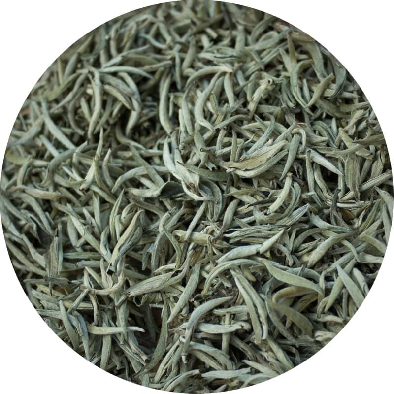 Белый Бай Цзянь - Белый острия, Весна 2024 