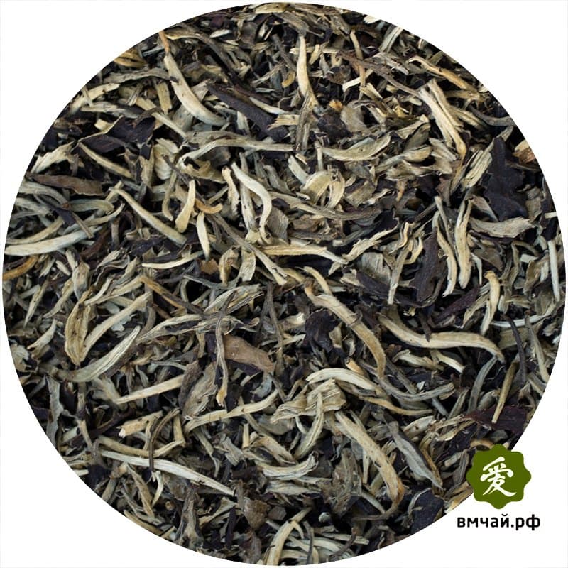 Белый Юэ Гуан Бай