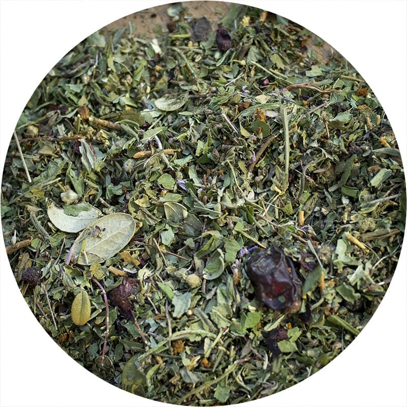 «Энергия Байкала»