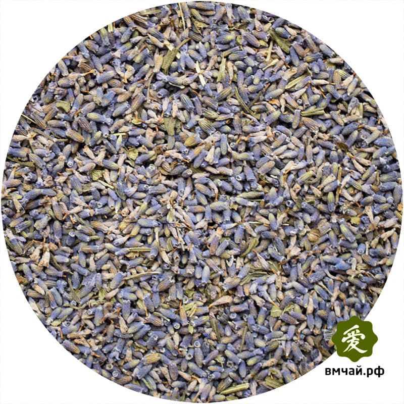 Цветы лаванды