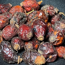 Шиповник плоды - 2