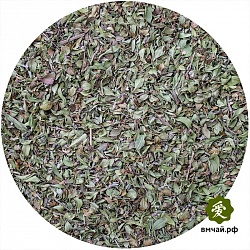 Чабрец армянский горный - 2